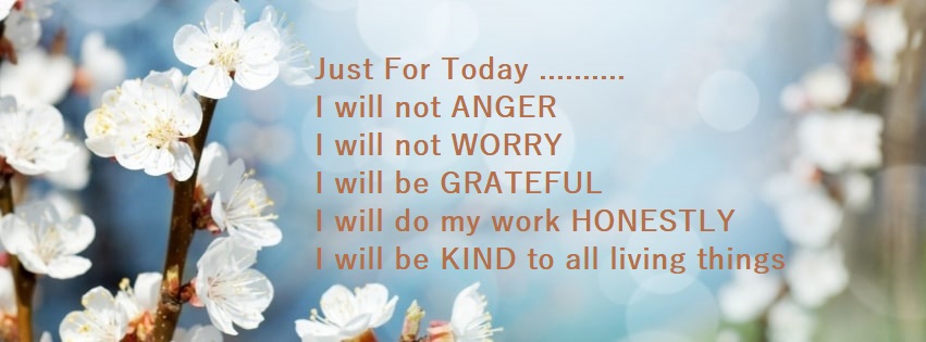 Ronelle Crous Reiki Master